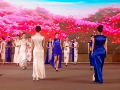 重慶第五屆職業教育活動周啟動，茶藝、扎染、3D打印與禮儀文化共展職教風采